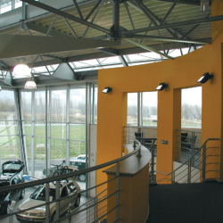 Pinguino LED 35W 40gr 4000K IP66