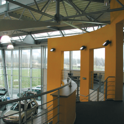 Pinguino LED 35W 60gr 4000K IP66